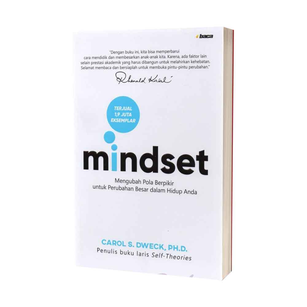 Mindset, Mengubah Pola Berpikir untuk Perubahan Besar dalam Hidup Anda